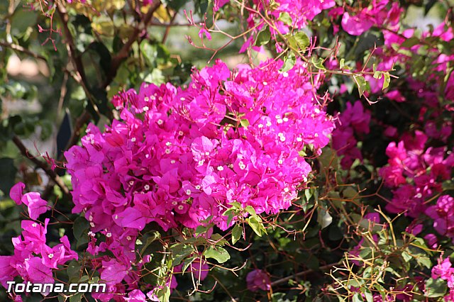 Marcha solidaria AFACMUR - 198
