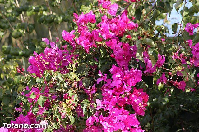 Marcha solidaria AFACMUR - 199