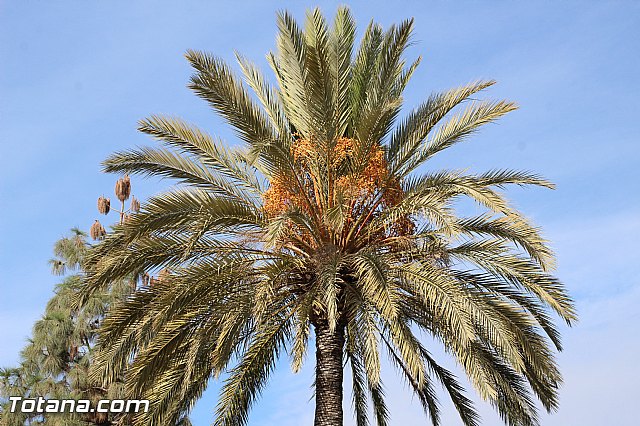 Marcha solidaria AFACMUR - 201