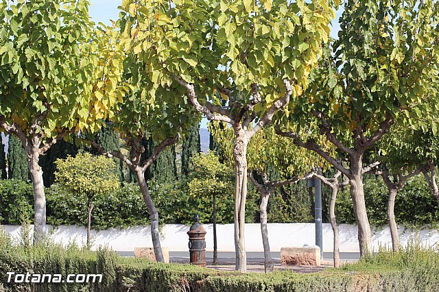 Marcha solidaria AFACMUR - 204