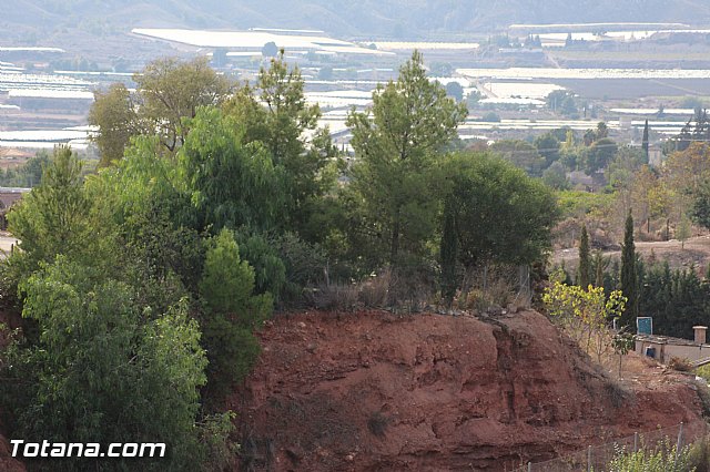 Marcha solidaria AFACMUR - 222