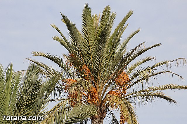 Marcha solidaria AFACMUR - 246