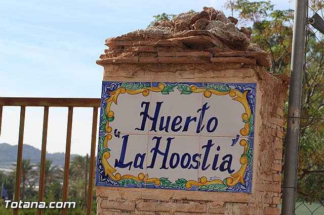 Marcha solidaria AFACMUR - 249