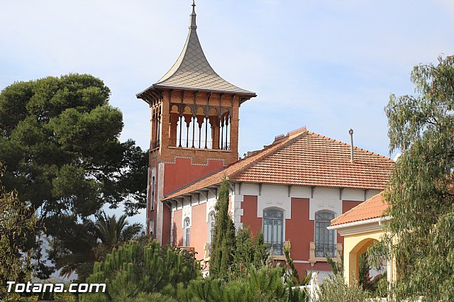 Marcha solidaria AFACMUR - 250