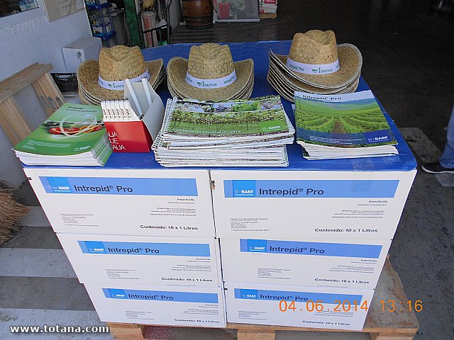 JORNADA DE PUERTAS ABIERTAS para agricultores de uva de mesa - 6