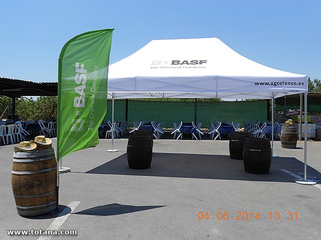 JORNADA DE PUERTAS ABIERTAS para agricultores de uva de mesa - 9