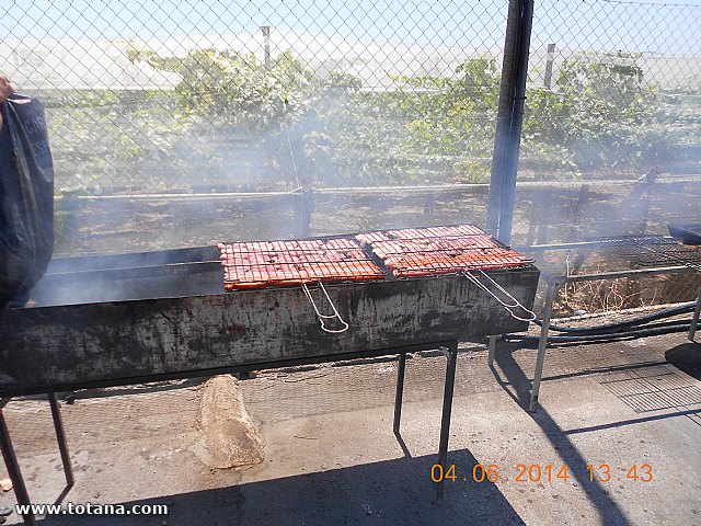 JORNADA DE PUERTAS ABIERTAS para agricultores de uva de mesa - 18