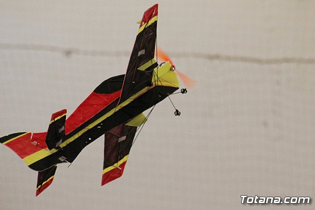 Concentracin Indoor de Aeromodelismo - 21