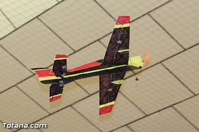 Concentracin Indoor de Aeromodelismo - 42