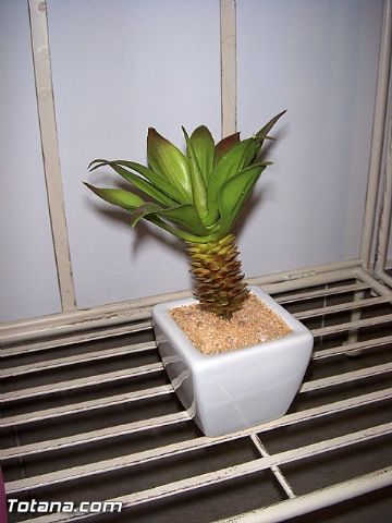 Inauguracin Espacio Alquimia - 83