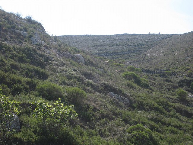 VI Carrera por montaa BOTAMARGES - 73