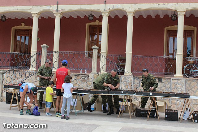 DRAGONChallenge, Memorial subteniente Calleja - 492