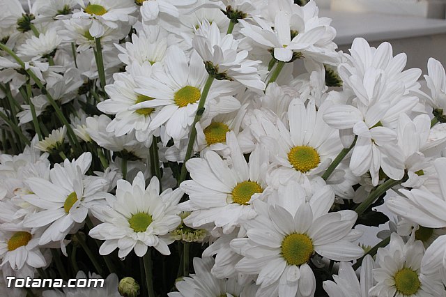 Misa 2 de noviembre  Conmemoracin de todos los Fieles Difuntos - 65