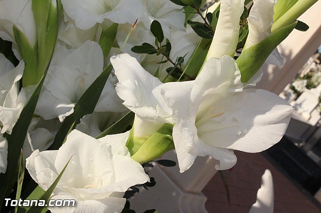 Misa 2 de noviembre  Conmemoracin de todos los Fieles Difuntos - 102