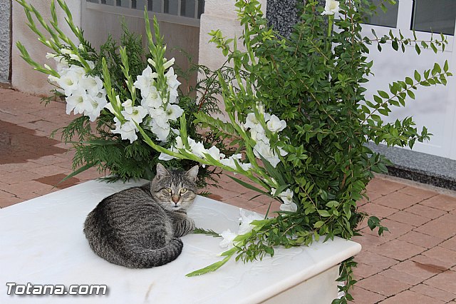 Misa 2 de noviembre  Conmemoracin de todos los Fieles Difuntos - 141