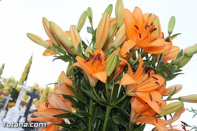 Misa 2 de noviembre  Conmemoracin de todos los Fieles Difuntos - 145