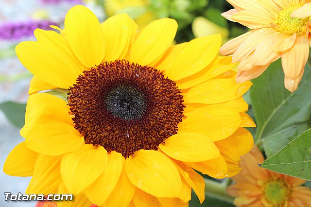 Misa 2 de noviembre  Conmemoracin de todos los Fieles Difuntos - 149