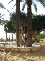 Guadalest y Benidorm