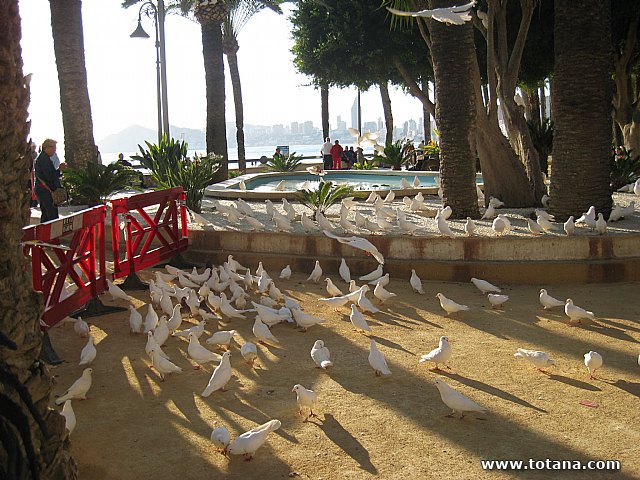 Viaje a Guadalest y Benidorm - 92