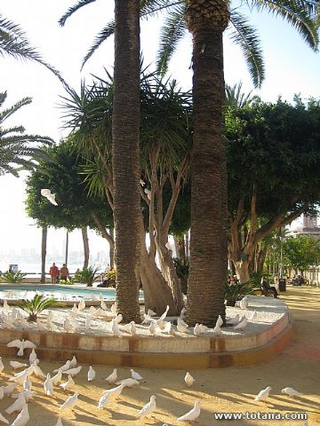 Viaje a Guadalest y Benidorm - 93