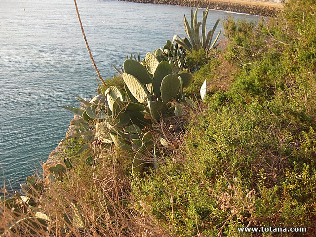 Viaje a Guadalest y Benidorm - 129