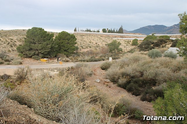 II Hispanian Race  - 104