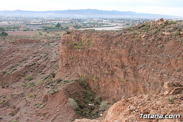 II Hispanian Race  - 114