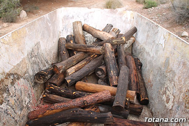 II Hispanian Race  - 133