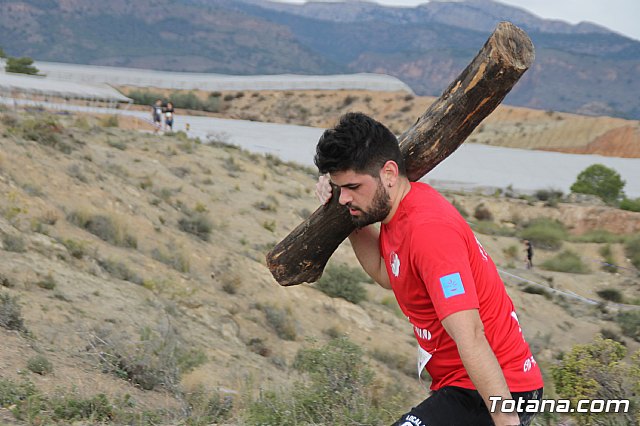 II Hispanian Race  - 331