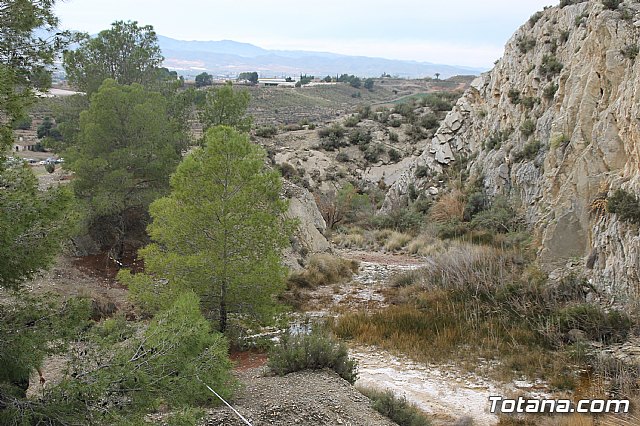 II Hispanian Race  - 413