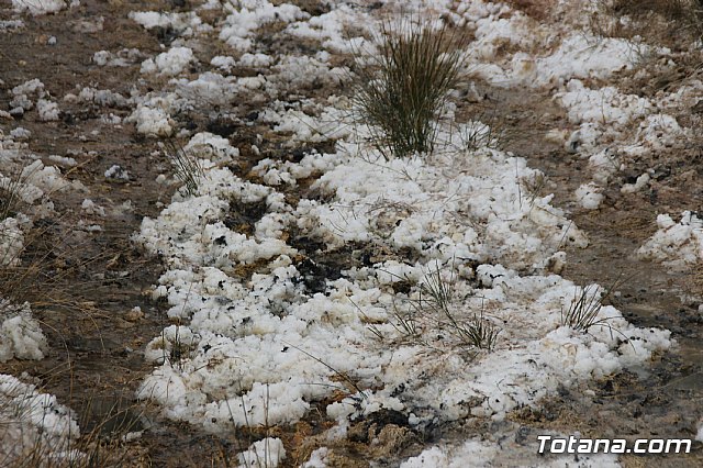 II Hispanian Race  - 429