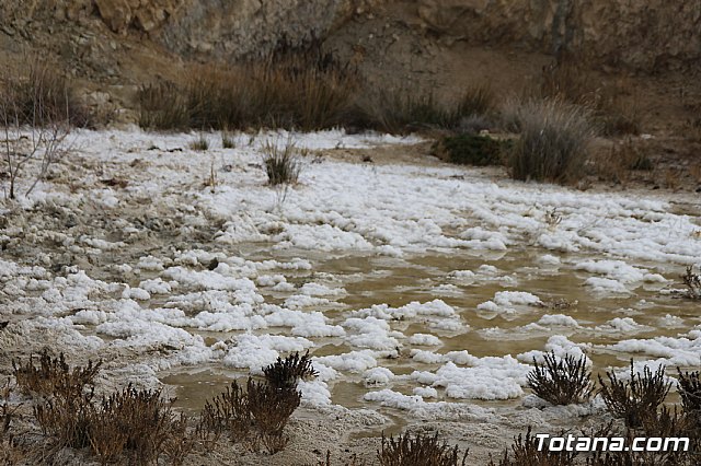 II Hispanian Race  - 436