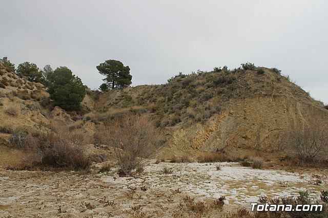 II Hispanian Race  - 437