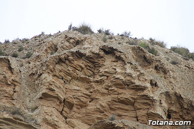 II Hispanian Race  - 444