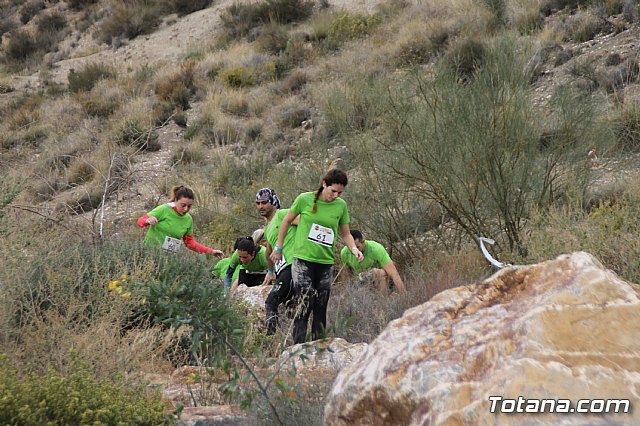 II Hispanian Race  - 445