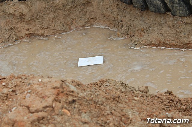 II Hispanian Race  - 824