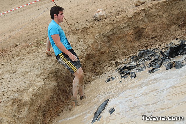 II Hispanian Race  - 875