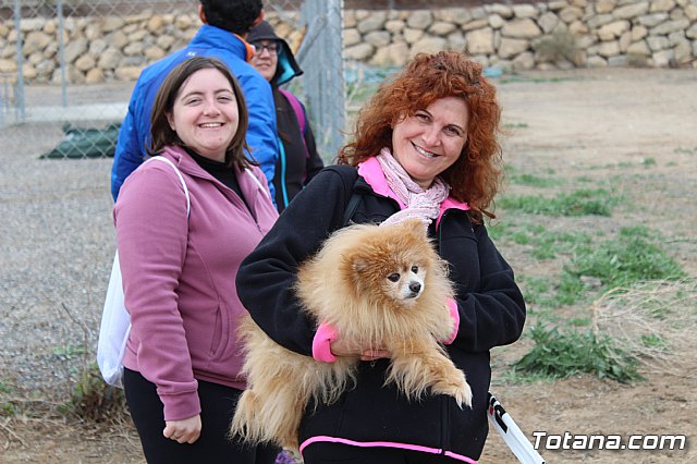 II Hispanian Race  - 916