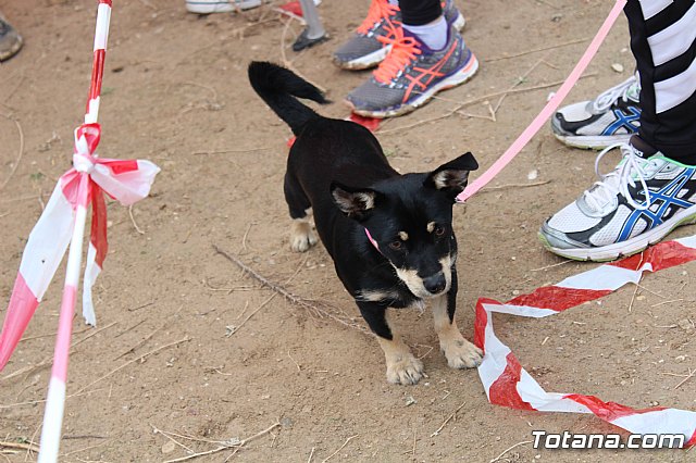 II Hispanian Race  - 1022