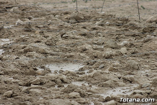 Hispanian Race - Carrera de obstculos TOTANA - 58