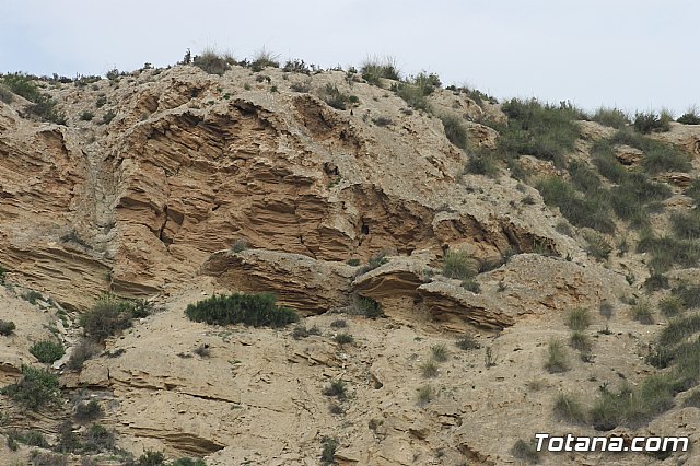 Hispanian Race - Carrera de obstculos TOTANA - 65
