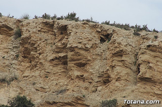 Hispanian Race - Carrera de obstculos TOTANA - 66