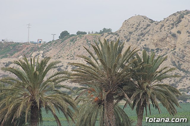 Hispanian Race - Carrera de obstculos TOTANA - 158