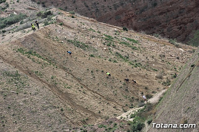 Hispanian Race - Carrera de obstculos TOTANA - 449