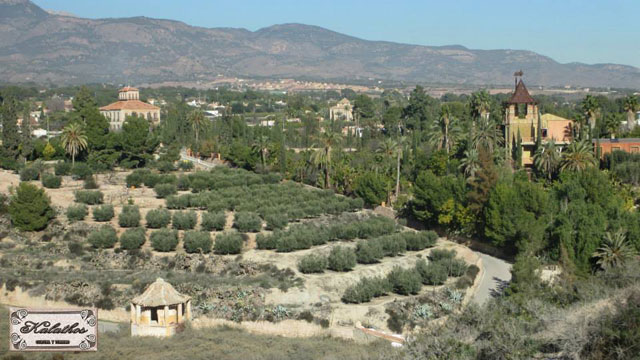 Rotundo xito en la segunda edicin de la Ruta de las Cabezuelas organizada por la Asociacin Kalathos - 50