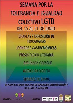 Presentacin de actividades Semana por la tolerancia e igualdad colectivo LGTB - 5