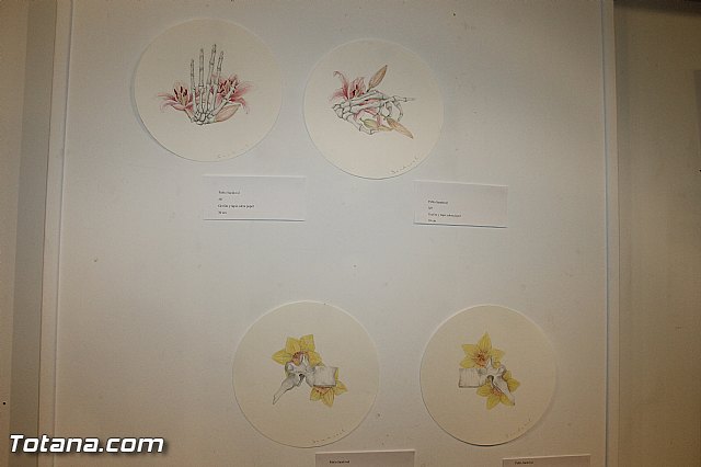 Presentacin de actividades Semana por la tolerancia e igualdad colectivo LGTB - 19