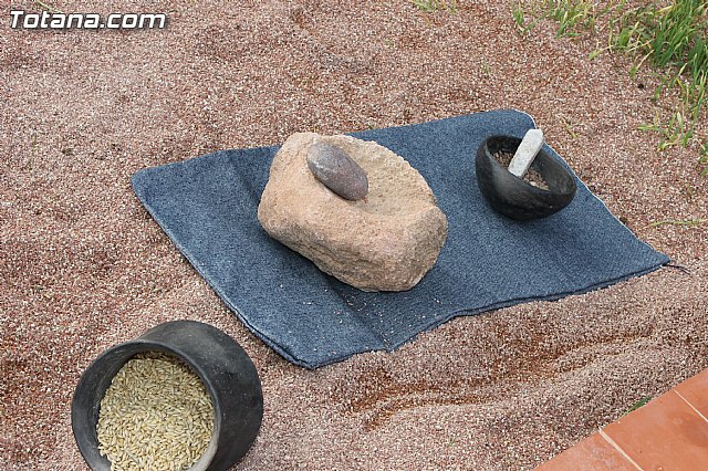 Yacimiento Argrico de La Bastida - 2