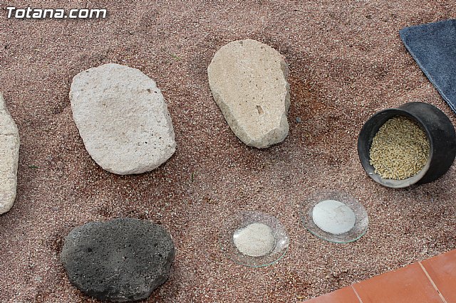 Yacimiento Argrico de La Bastida - 3