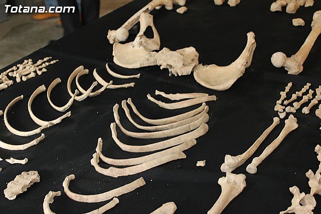 Yacimiento Argrico de La Bastida - 11